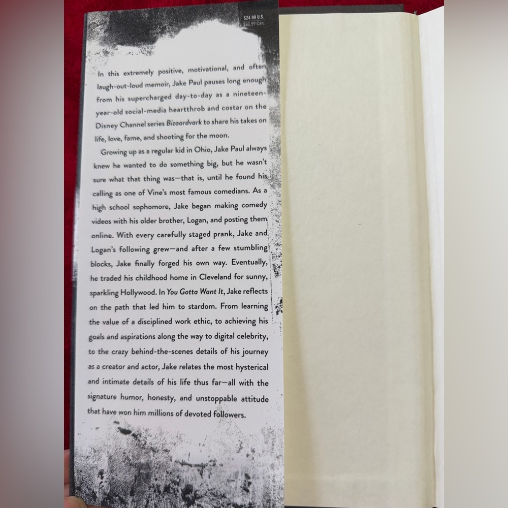 HARDBACK JAKE PAUL BOOK PERFECT CONDITION NO RIPS TEARS OR WRITING PERFECT! 📚 - Picture 10 of 10